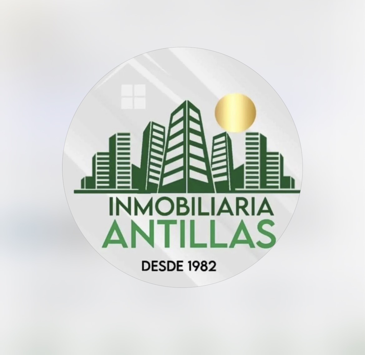 inmobiliaria-antillas