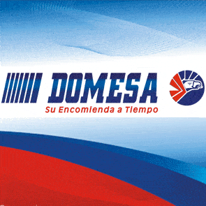 domesa-king-service