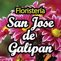 floristeria-san-jose-galipan